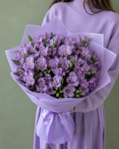 Альстромерия сиреневая (поштучно)